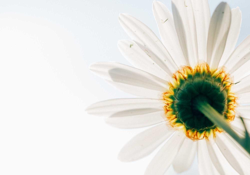 How Acing Your Job Interview Can Boost Your Career