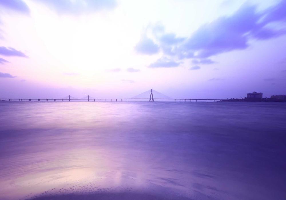 Choosing the Right Career Path: What You Need to Know